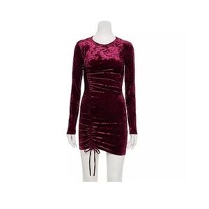 Velvet Ruched Long Sleeve Dress